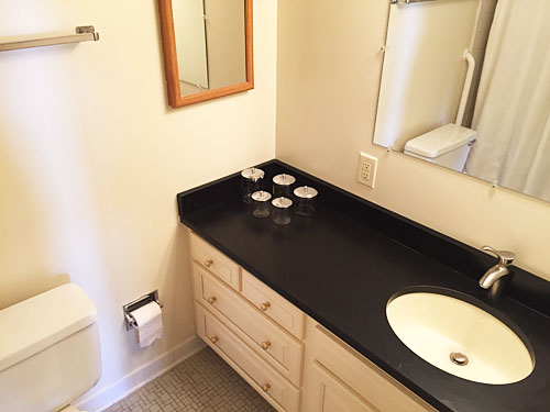 condo view down river